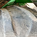  2020 John Deere F4365 at LandMark in Gothenburg, NE